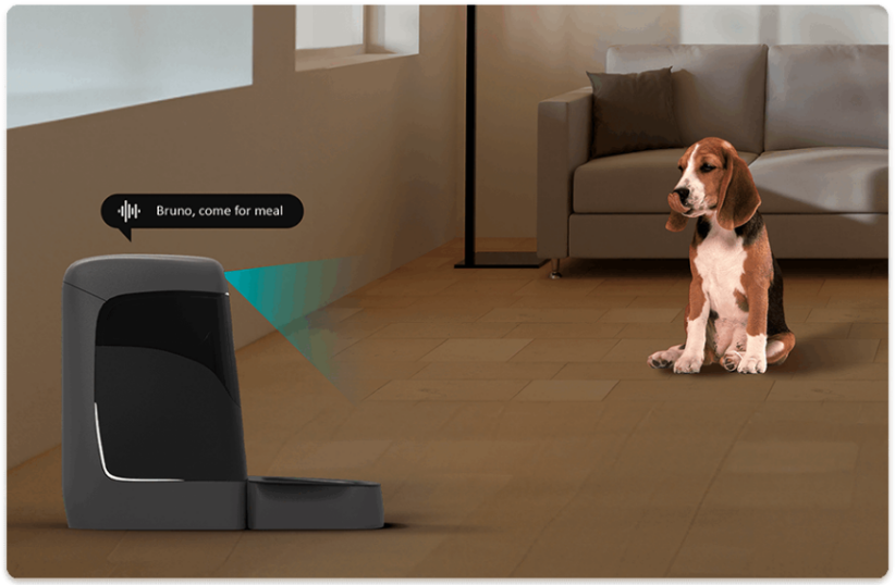 精打细算的年轻人却愿意花大钱让宠物过上“智能生活”(图6)