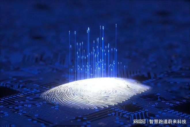 智能化体育运动设备的健康监测功能(图3)